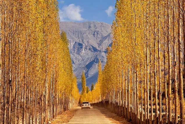 Skardu And Hunza Tour